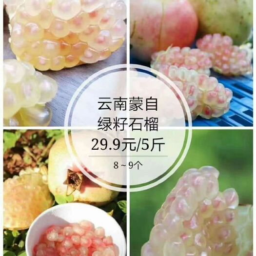 晋江市甜绿籽石榴  薄皮绿籽石榴来了敢与突尼斯较量甜度的存在