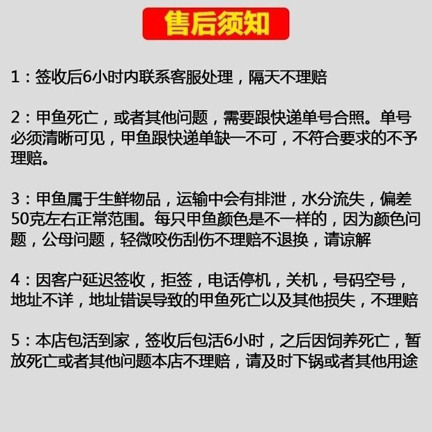 20斤一只至5斤一只超大放养甲鱼中型鲜活超大甲鱼