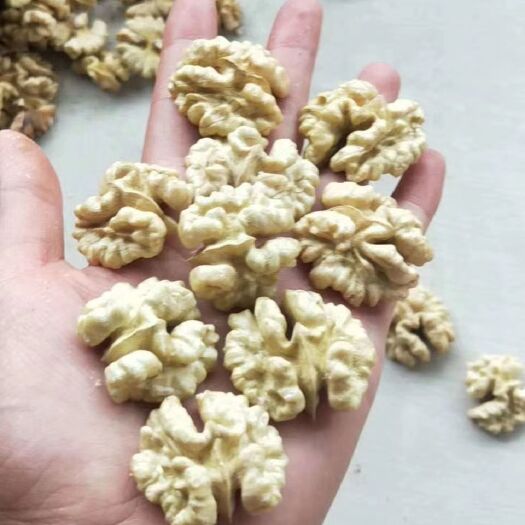 凤庆县薄皮核桃  泡核桃