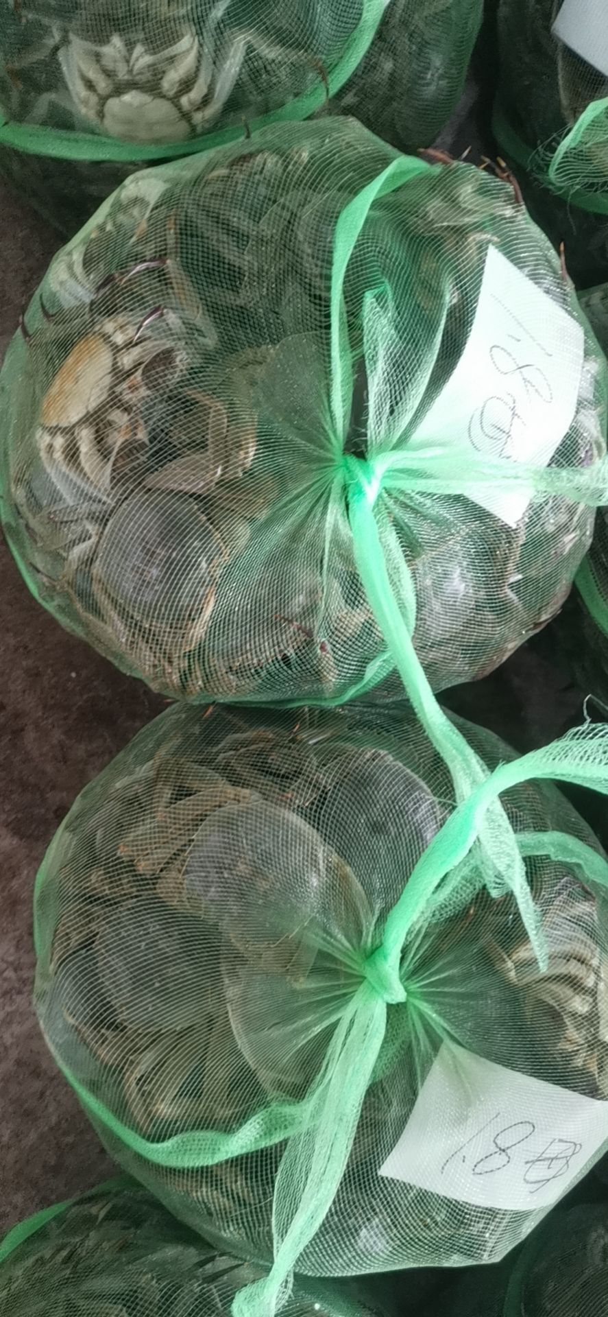 кˮբзƷբзڹӦͯɩۣ