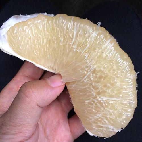 白柚  重庆合川本地琯溪蜜柚