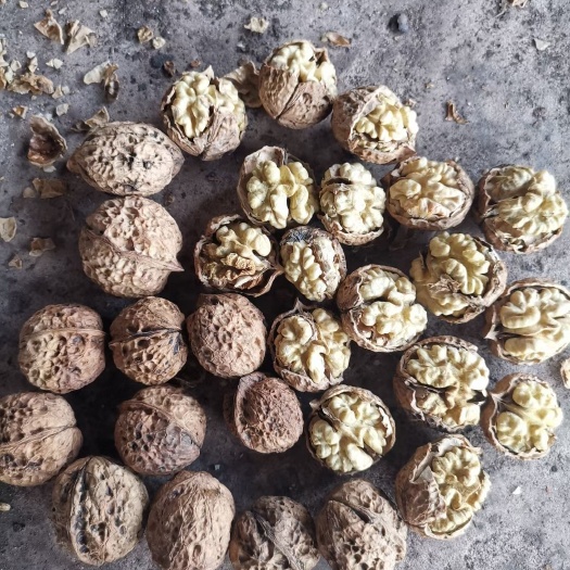 成都云南核桃  云南麻子核桃，今年新货，中果，大果，价格美丽！颗粒饱满度高