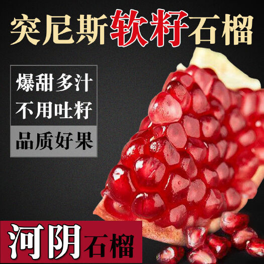 荥阳市南河渡软籽石榴  河阴软籽石榴可代发大量上市规格齐全欢迎洽谈