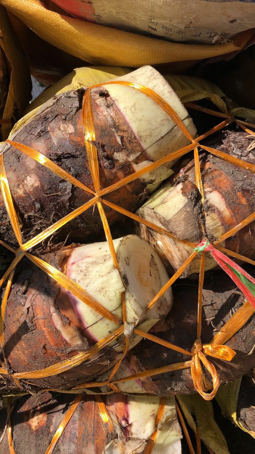 粉芋头 福建芋头，无虫眼，无上水，专接电商，超市，酒店！