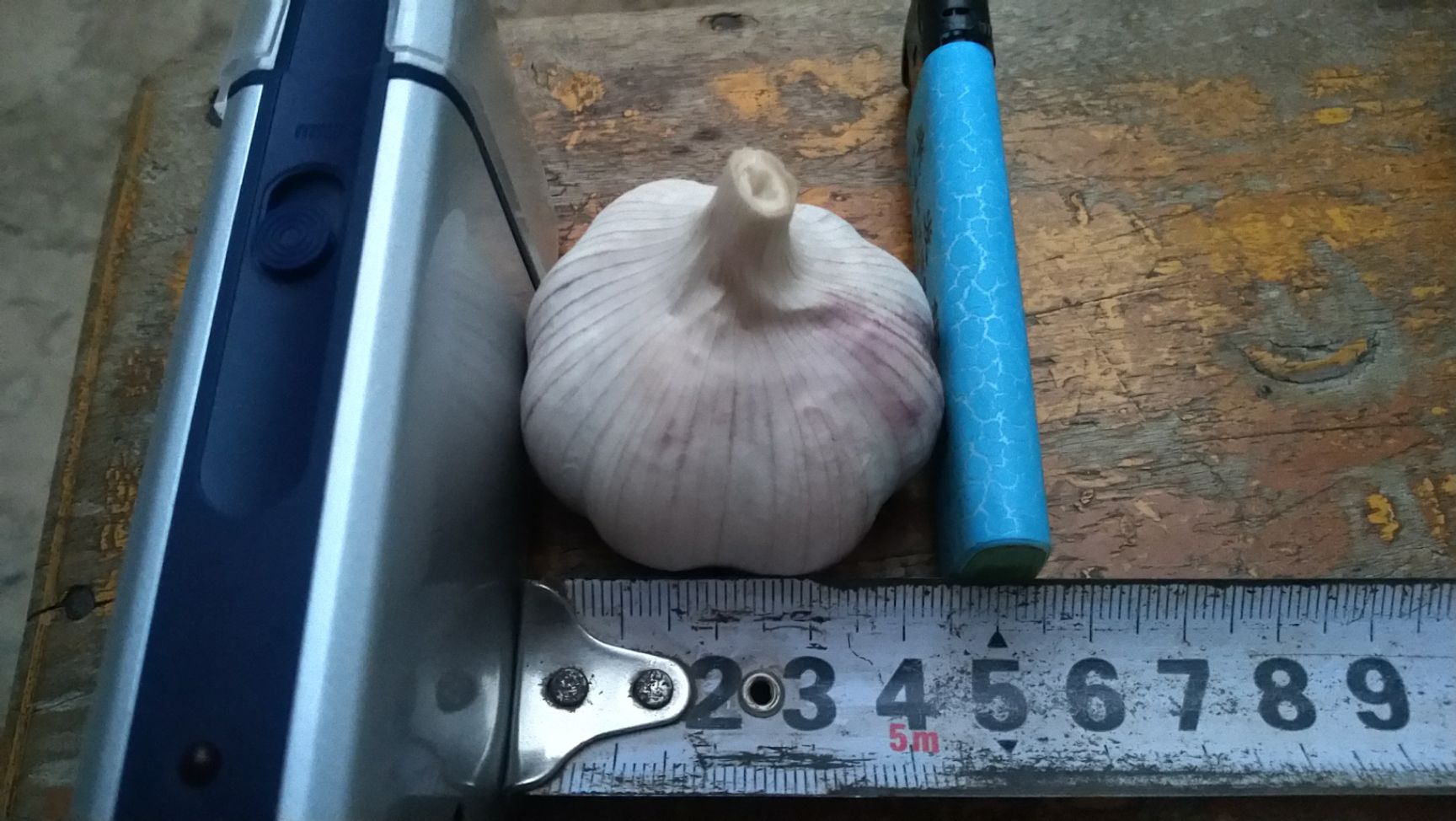 金杞牌大蒜  金杞精品大蒜在线交易有保障