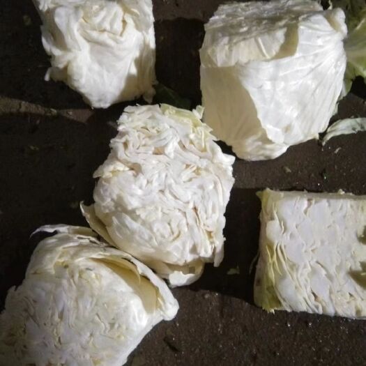 菏泽苤蓝  京丰一号包菜心，养殖用