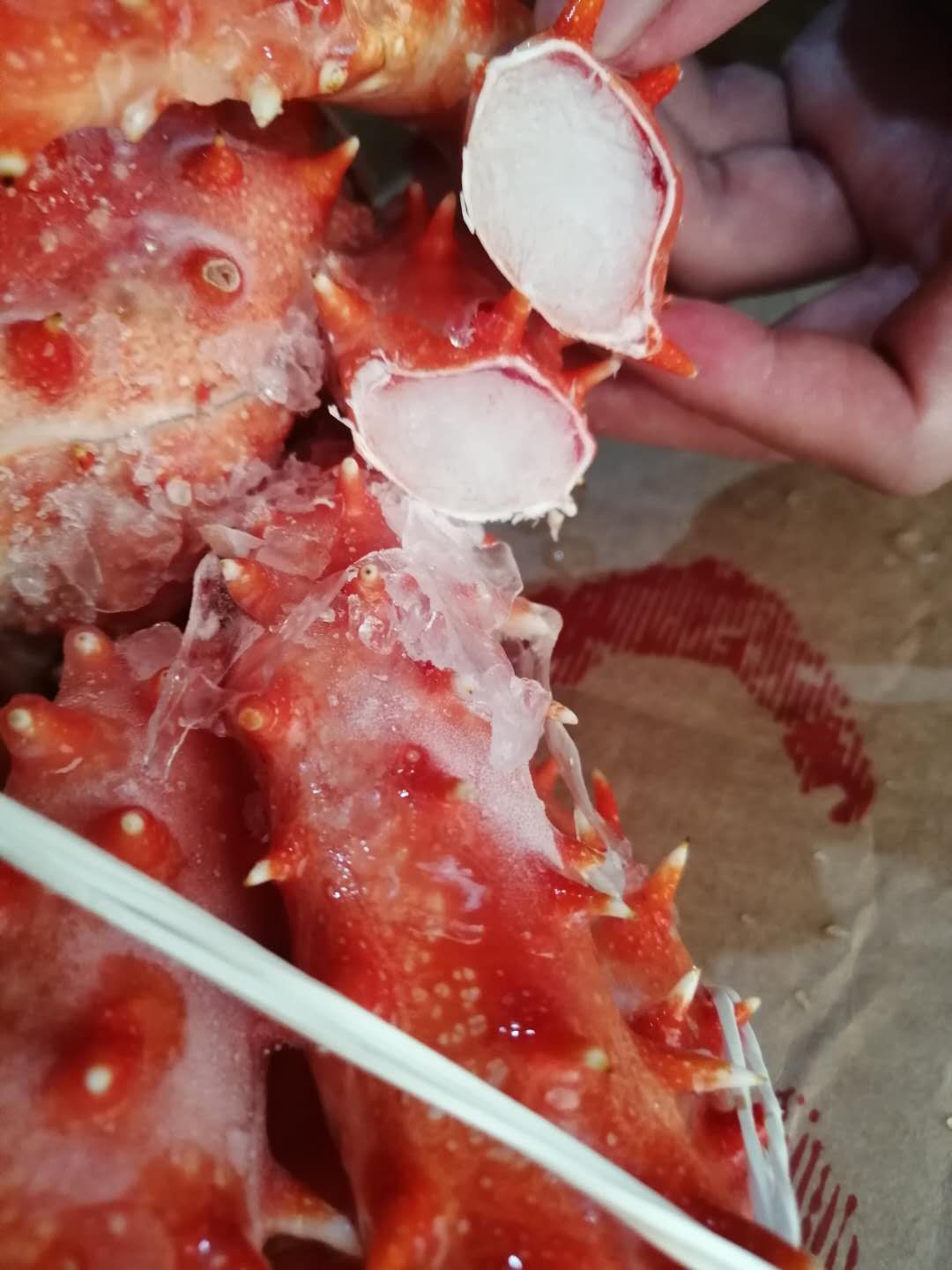  阿拉斯加帝王蟹