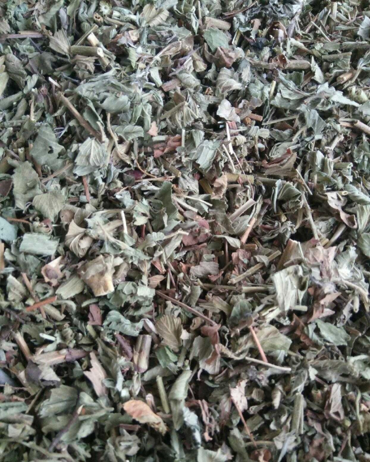 仙鹤草 图片实拍，无美颜无滤镜！此为统货价格
