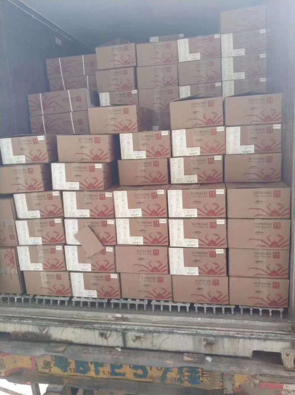  阿拉斯加帝王蟹