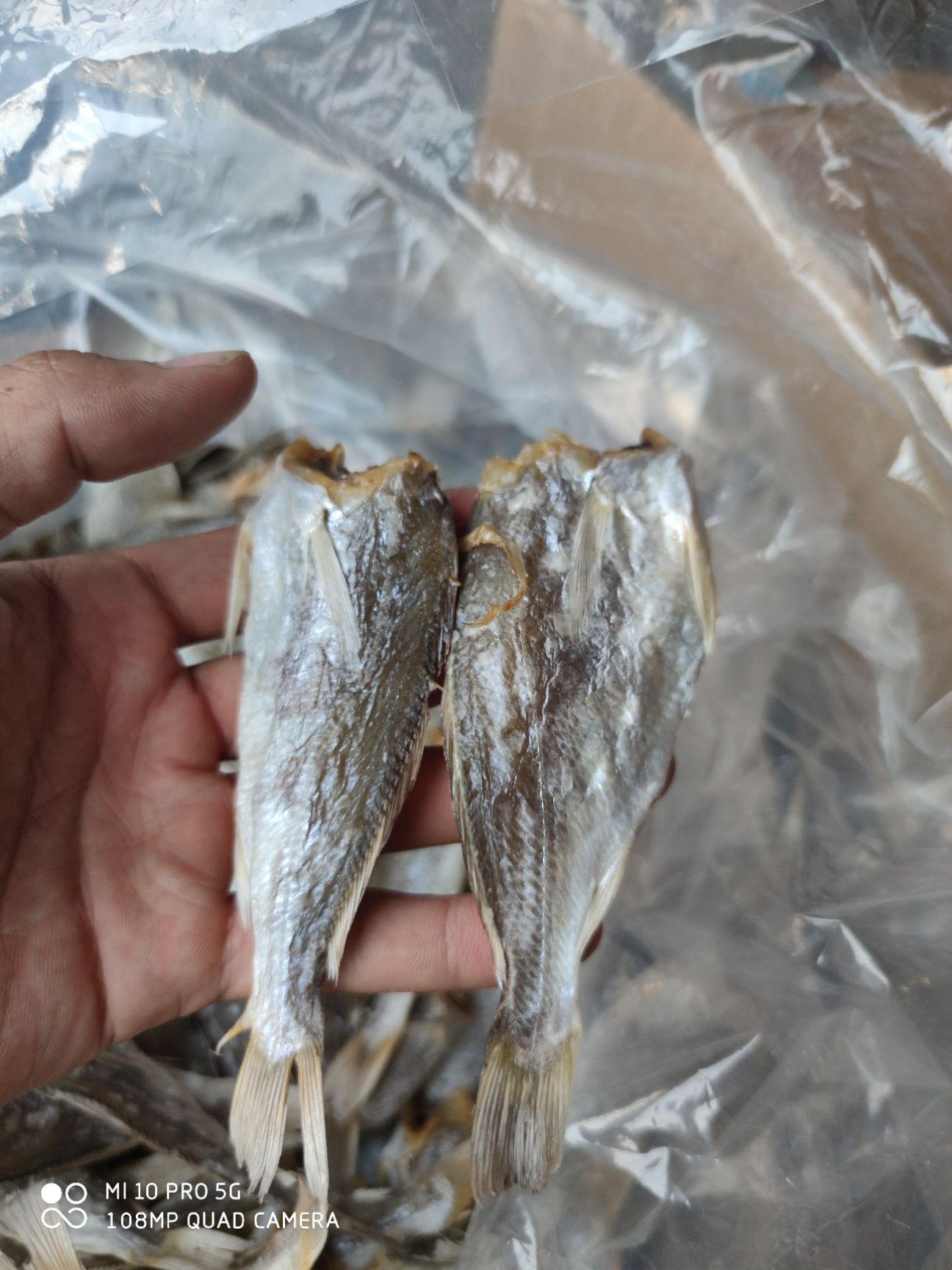 北部湾 特产黄花鱼干小鱼干咸鱼干滑