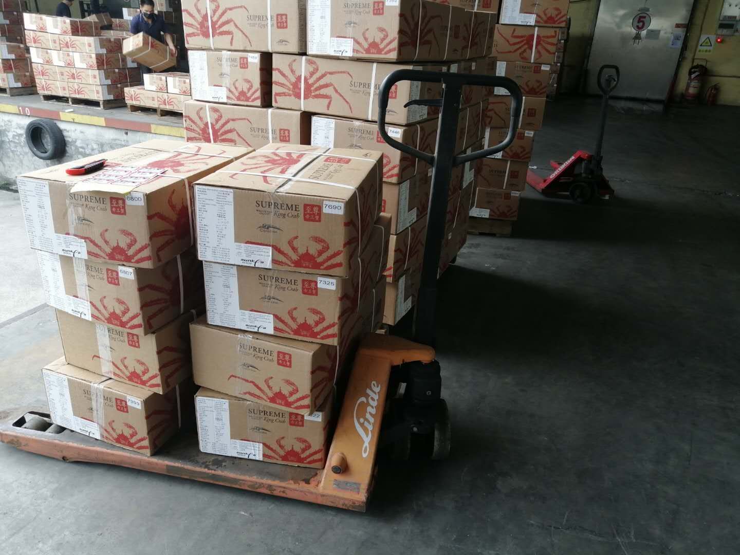  阿拉斯加帝王蟹
