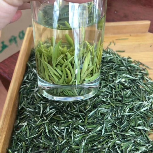 宜昌五峰绿茶 茶芽
