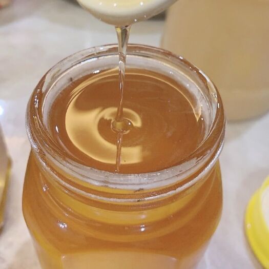金乡县 荆条蜜