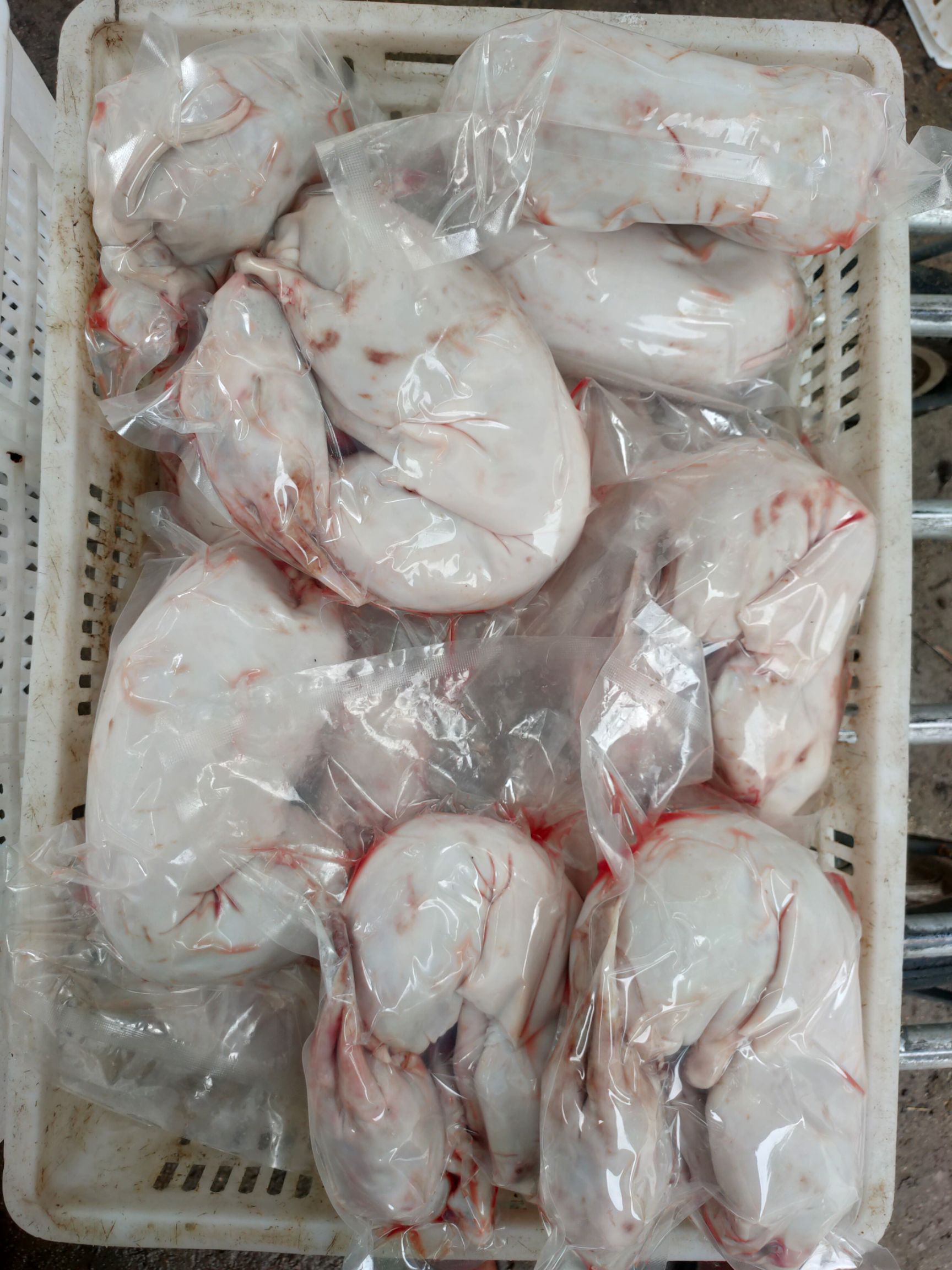 烫皮兔肉  新鲜带皮兔肉活兔现杀速冻发货