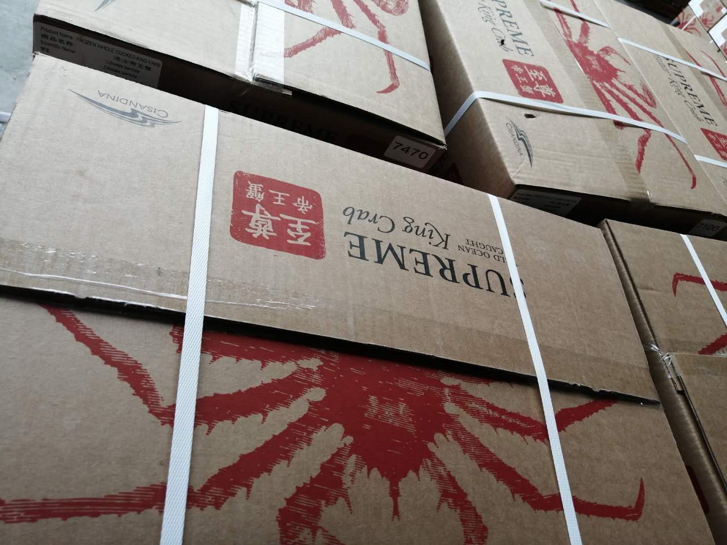  阿拉斯加帝王蟹