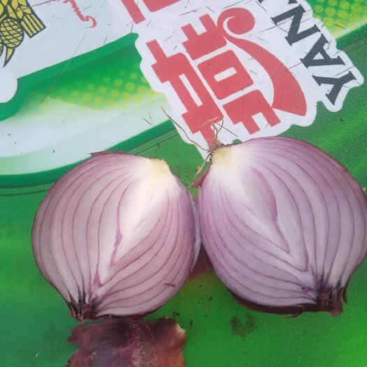 沙湾市红皮洋葱 兵团 自家常年种植