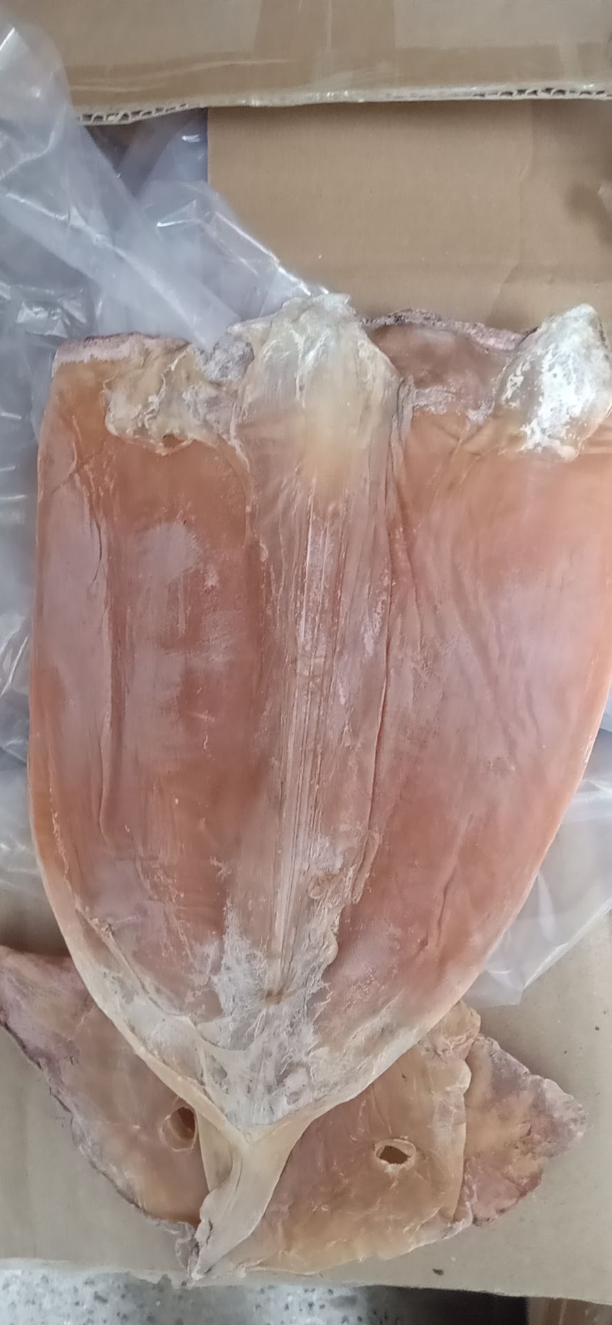 鱿鱼干。无头的。一斤三个左右的微咸的干度九成。