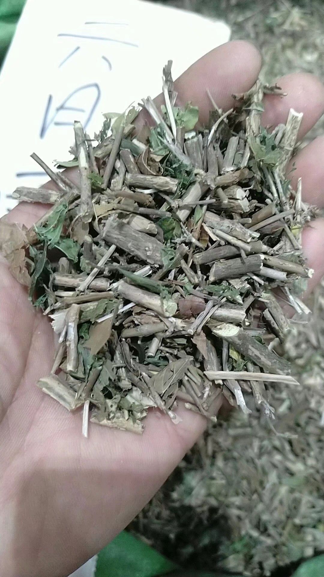 六月雪