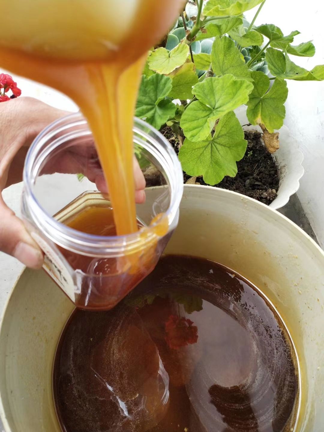 农村土蜂蜜，百花蜜