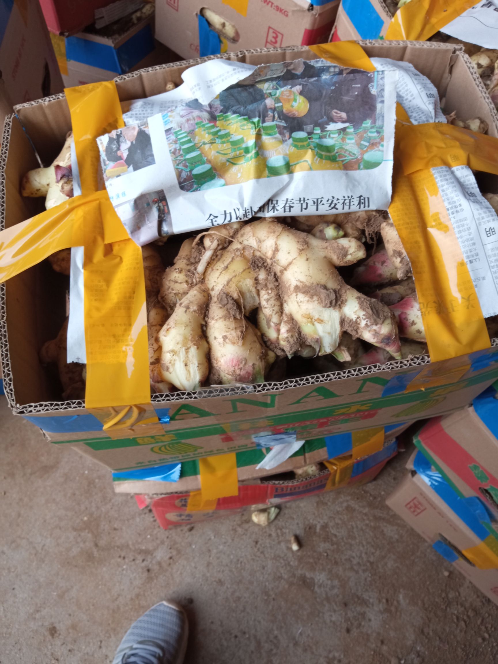 面姜  基地无公害红呀姜大量上市欢迎新老朋友下单。