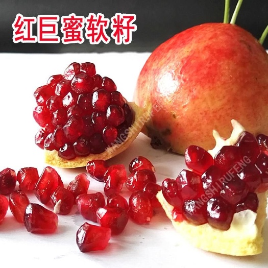 平邑县红如意软籽石榴树苗 嫁接苗