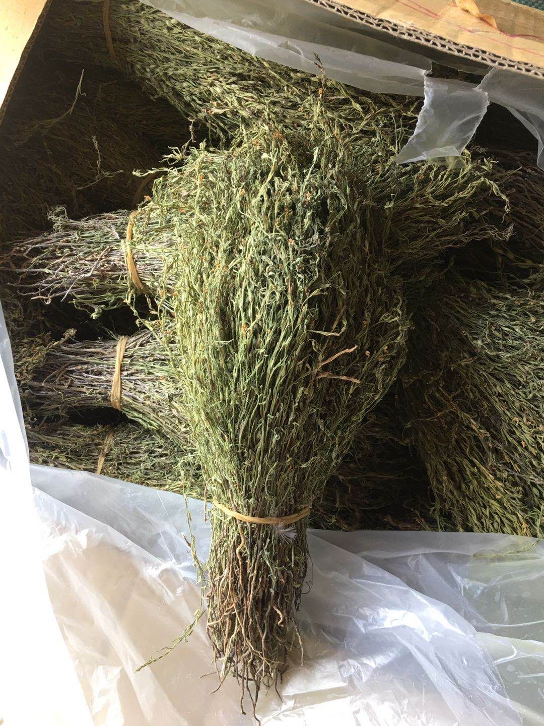 独脚柑  独脚金全干货，颜色青绿！产地直销价格优惠！！！