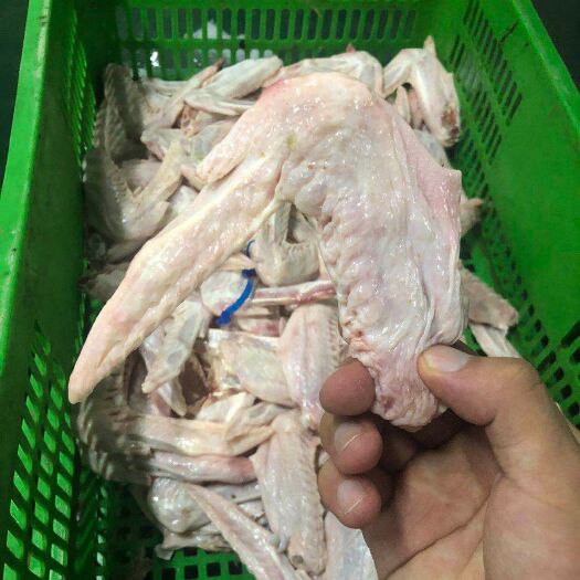 鸭翅膀