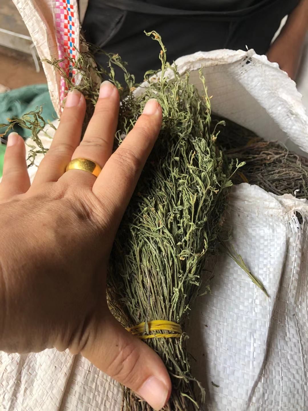 独脚柑  独脚金全干货，颜色青绿！产地直销价格优惠！！！