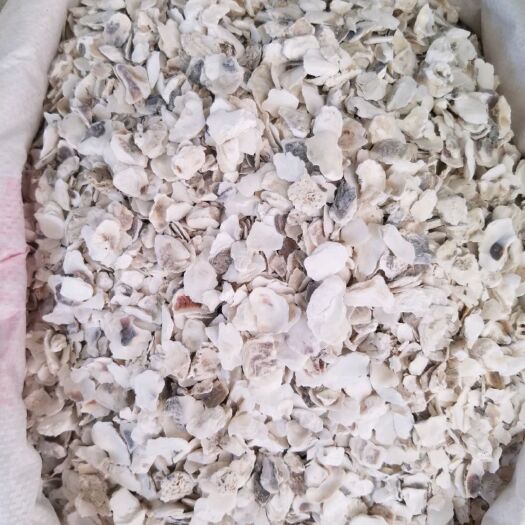中药材牡蛎 牡蛎粒，牡蛎粉，熟牡蛎粉