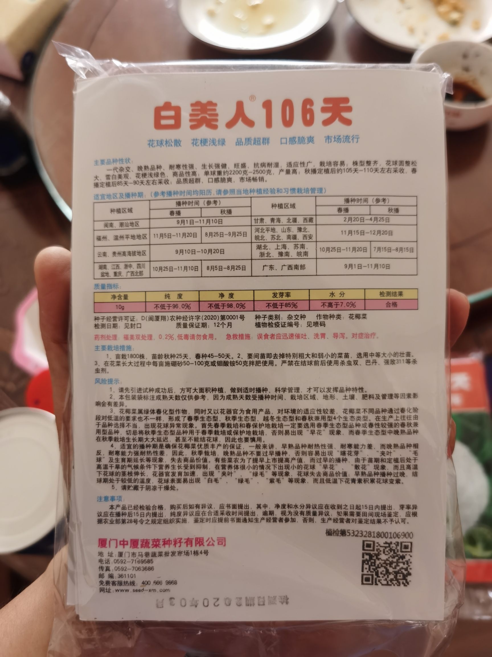 青梗松花菜苗  白美人106天85天青梗松花苗 花菜苗