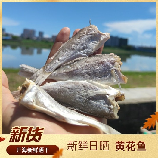 北海北部湾 特产黄花鱼干小鱼干咸鱼干滑