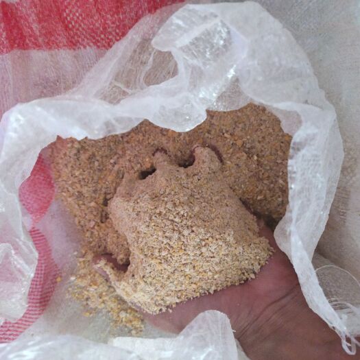 上林县肉鸡 180天玉米老母鸡，价格优惠