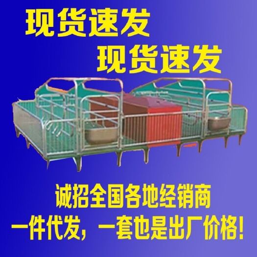 永福县母猪产床 小猪保育床