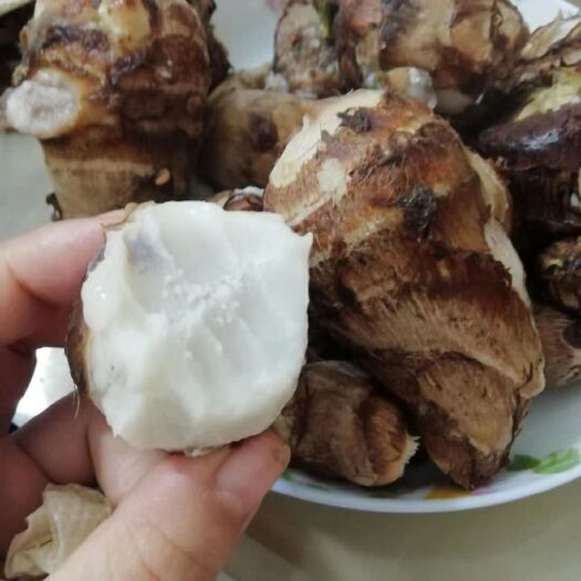 莒县毛芋头  下单现刨