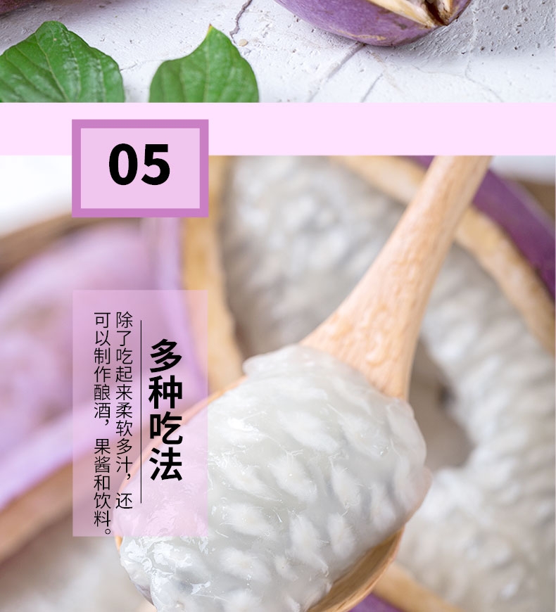 野生八月瓜 湖南省怀化市芷江侗族自治县 种植 紫色 