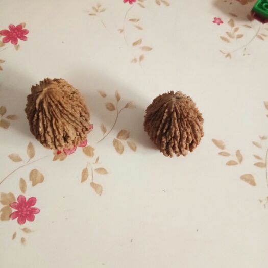 鹤壁文玩核桃