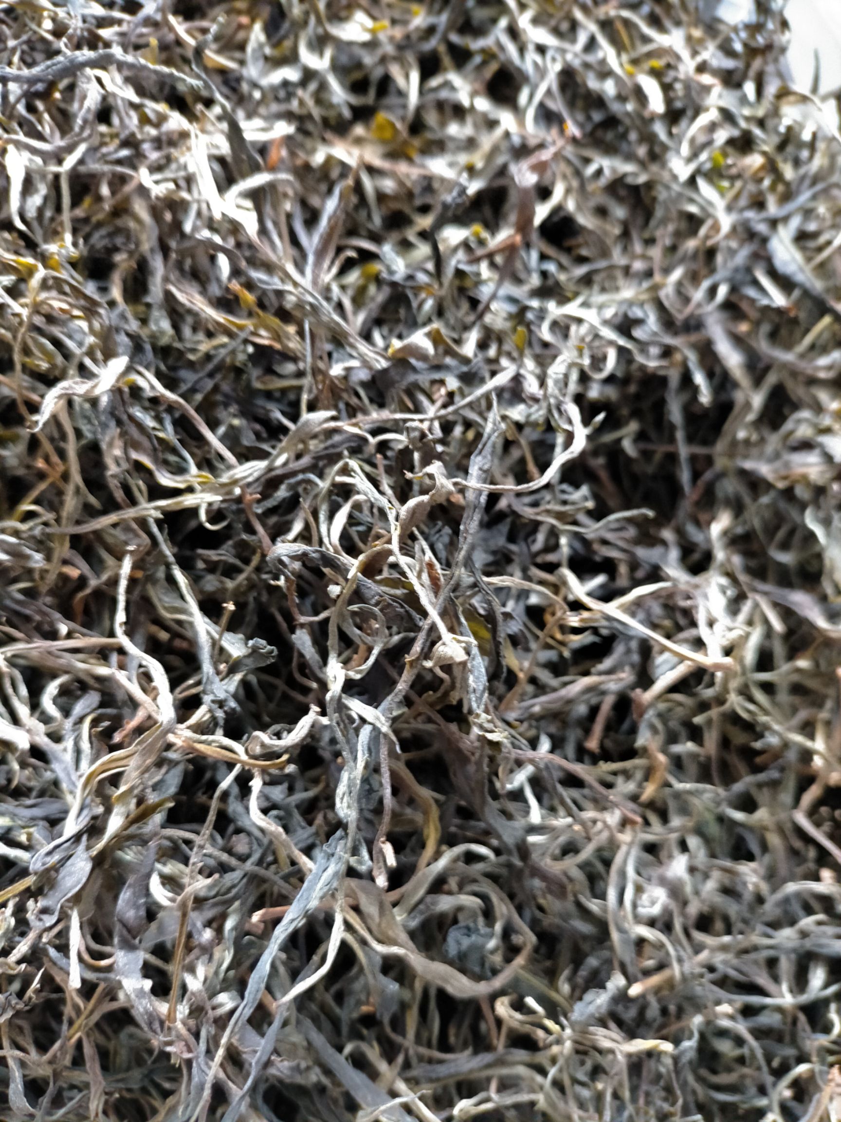 普洱生茶 易武生态茶春秋茶都有货需要可以联系我价格实惠  干净卫生