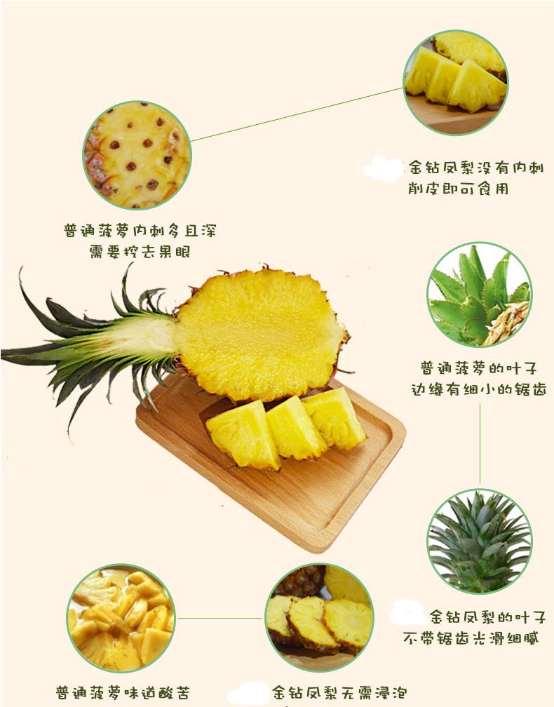 【甜汁】金钻凤梨新鲜水果手撕无眼凤梨菠萝应季水果包邮