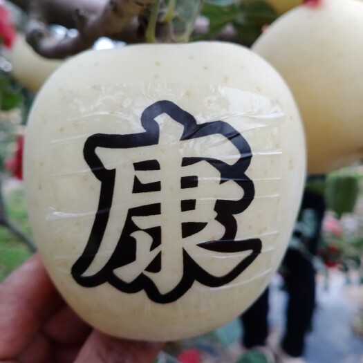 静宁县 ￼静宁苹果以色泽鲜艳、个大形正，果面光洁、质细汁多，酸甜