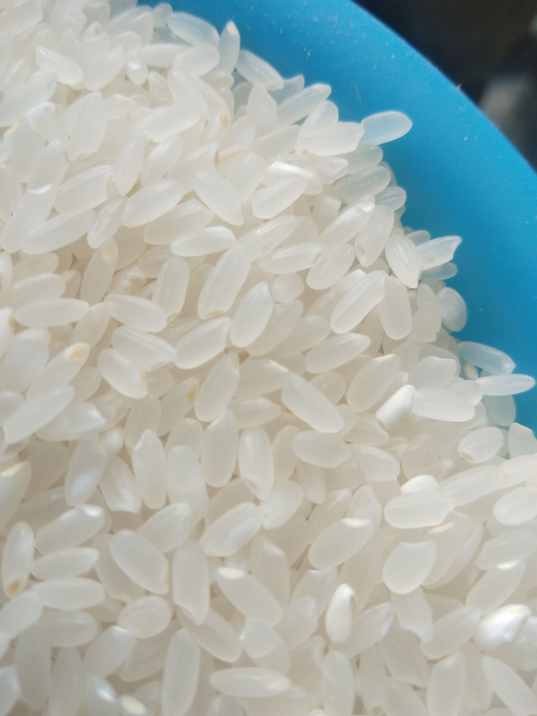 稻花香稻谷  水稻