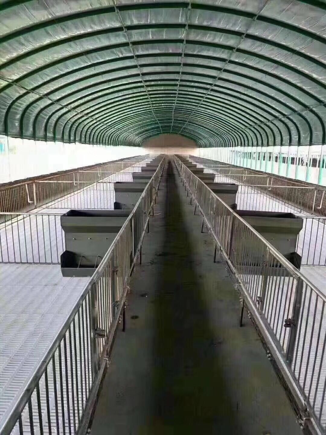 养殖大棚  养羊大棚 椭圆管大棚 尺寸可定做