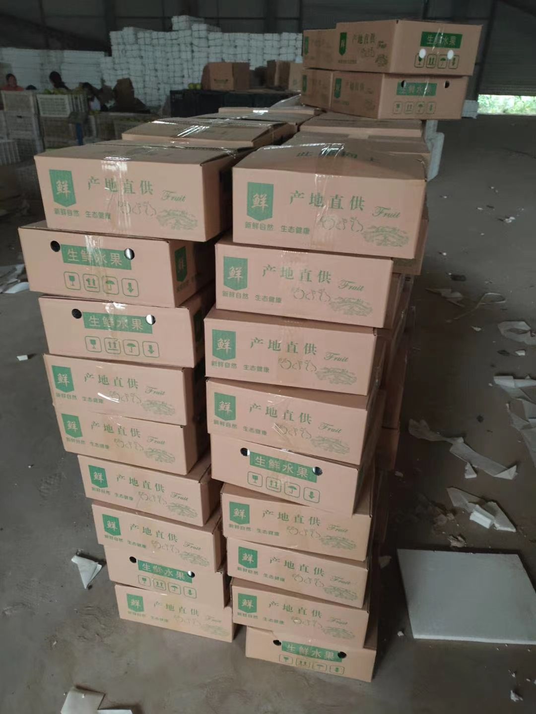 河北魏县鸭梨膜袋鸭梨，冷库膜袋鸭梨魏县老红梨大量供应，