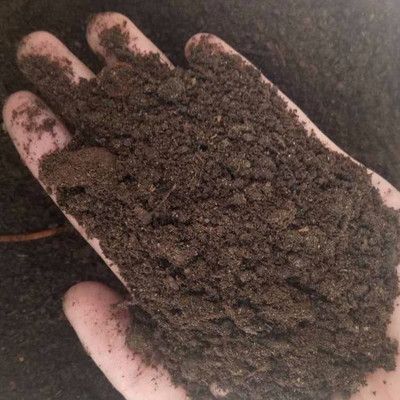 内蒙古正蓝旗绿康盛纯羊粪有机肥  质量保证 效果明显