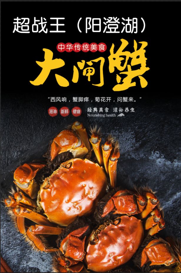 阳澄湖镇镇大闸蟹  红膏大闸蟹批发长期批发