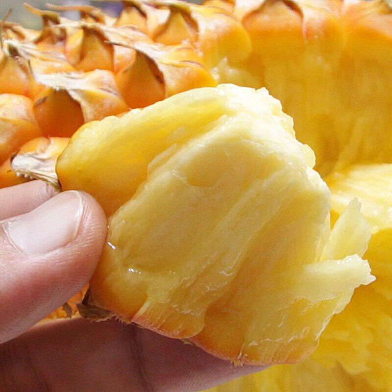 【甜汁】金钻凤梨新鲜水果手撕无眼凤梨菠萝应季水果包邮