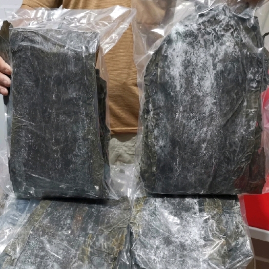 大钦岛海带 长岛一级品干海带 海产干货无沙日晒去边修尾包邮