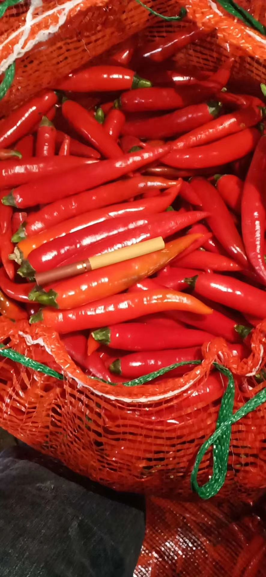 小米椒剁椒  美人椒剁椒