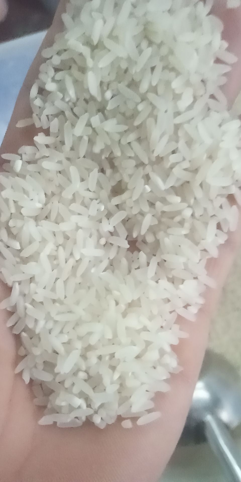 出售大米，川优6203，晶两优534，珍珠米，