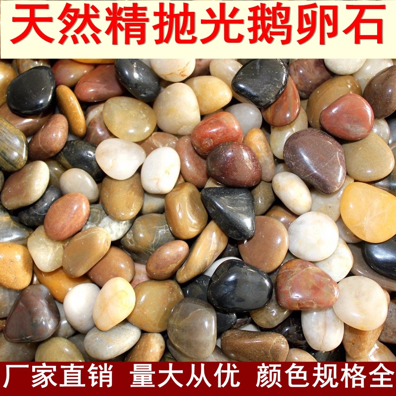 南京毛石  天然精抛光鹅卵石五彩石小石子花卉鱼缸园林铺路石