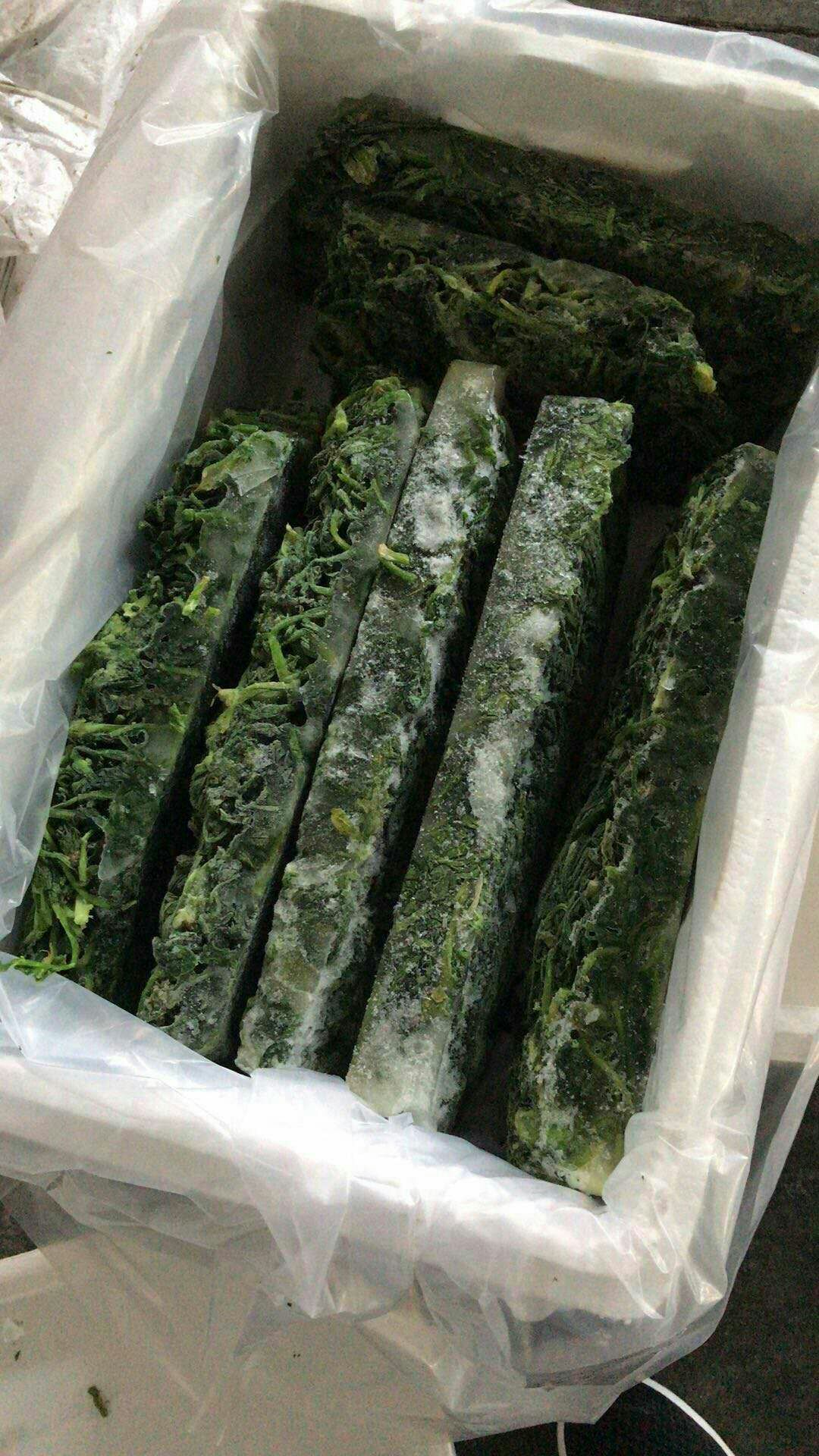 速冻荠菜  速冻上海青和荠菜